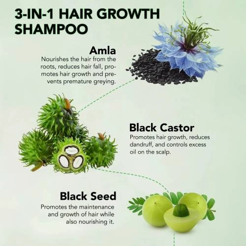 3 IN 1 Black Castor + Amla + Black Seed Oil Shampoo Aliver - 300 ml