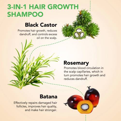 3 IN 1 Rosemary + Black Castor + Batana Oil Shampoo Aliver - 300 ml