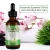 Rosemary Essential Oil Aliver - 60 ml